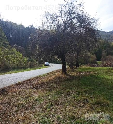 Продавам имот гр. Берковица, снимка 6 - Парцели - 51493587