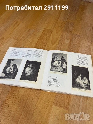 Книга за Гоя (Испански език), снимка 2 - Енциклопедии, справочници - 54242896