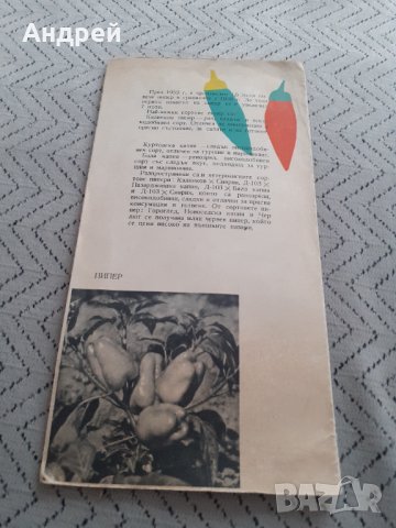 Стара брошура България Страна на зеленчуците, снимка 3 - Други ценни предмети - 31670808