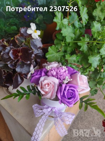 Цветя, снимка 6 - Други - 40849822