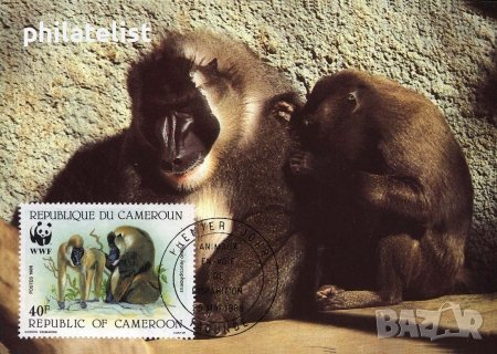 Камерун 1988 - 4 броя Карти Максимум - WWF, снимка 2 - Филателия - 38890873