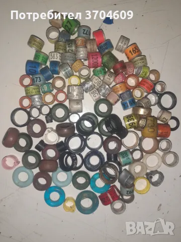 Пръстени за гълъби