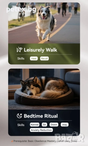 Смарт нашийник с повод за обучение на кучета Petfessor CL-300, снимка 8 - За кучета - 52656018