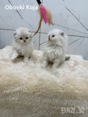 Последни 2 побързайте уникален подарък за вашите любими