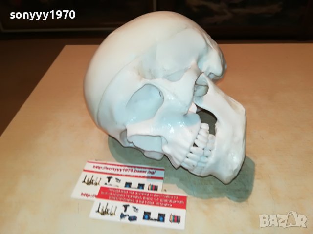 ЧЕРЕП-ВНОС ГЕРМАНИЯ 1806222011, снимка 6 - Колекции - 37127150