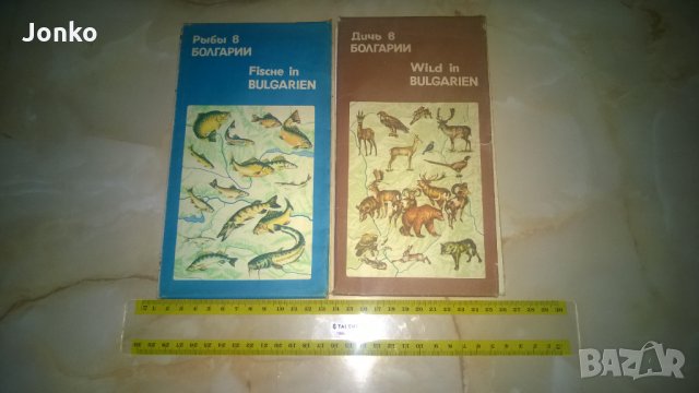 Атласи на животните