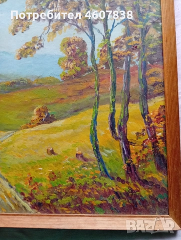 Картина 71-52 см, снимка 2 - Картини - 51960976