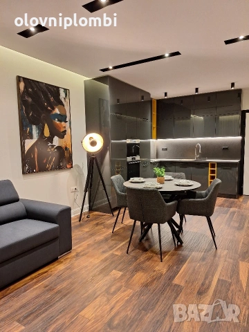 Собственик отдава под наем за първи наематели двустаен апартамент от най висок клас 