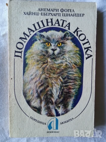 Домашната котка 