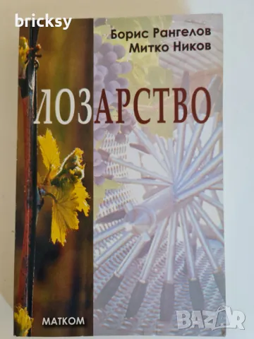 Лозарство Борис Рангелов, Митко Ников, снимка 1