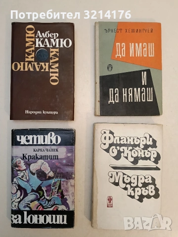 Мъдра кръв - Фланъри О'Конър