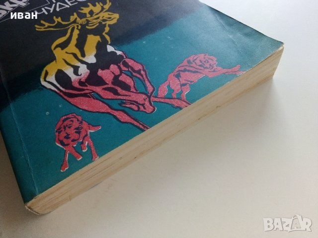 Съкровищница на чудесата - Максим Зверев - 1982г., снимка 7 - Други - 37815833