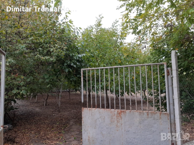 Орехова градина 570 кв.м., с. Виноградец, обл. Пазарджик, 19,000 Евро, снимка 2 - Парцели - 52223300