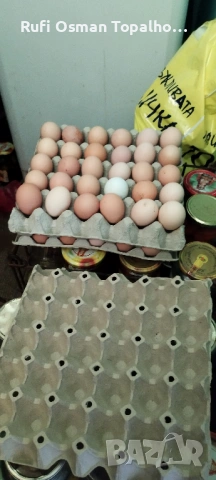 продавам пресни домашни яйца, снимка 3 - Кокошки и пуйки - 53905930