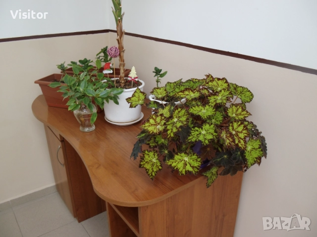 фотоапарат MAGINON Z1600 - 16.1 MPx, снимка 17 - Фотоапарати - 52429048