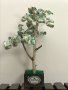 Дърво с пари , снимка 10