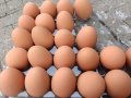 Изкуствени пластмасови яйца за кокошки тежки, снимка 5