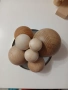 дървени топки, топчета , снимка 4