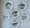 Порцеланови чинии с декор различни риби , снимка 2