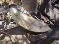 Фар Десен За Пежо 407 2004г / Peugeot 407 2004y, снимка 1