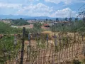 Продавам земеделски комплекс от 149 000 м2, снимка 7