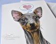 Картичка "Пинчер" / куче, животни, любов, сърце, снимка 3