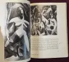 Пикасо - живот и творби / Picasso, снимка 5