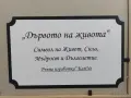 Картина "Дървото на живота" , снимка 2