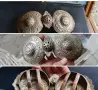 два стари метъра, снимка 1