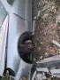 mercedes s320 w220 cdi 204 коня, снимка 9