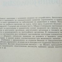 Книга Протозоология - Васил Големански 1990 г., снимка 2 - Учебници, учебни тетрадки - 38346939