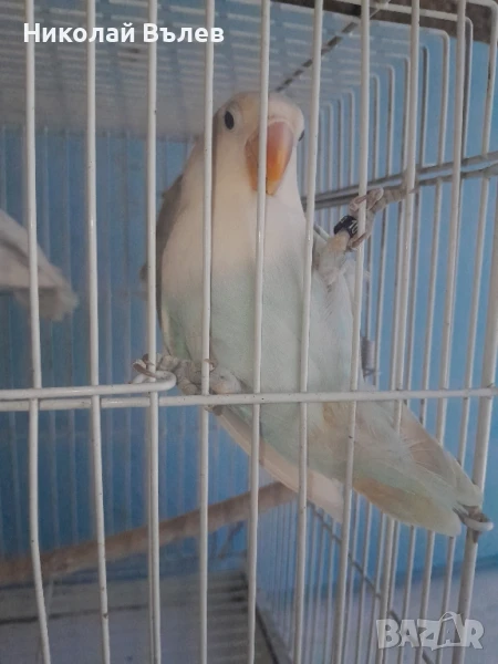 Неразделки 3 броя, снимка 1