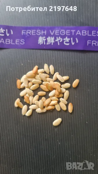 Семена от японска краставица, снимка 1