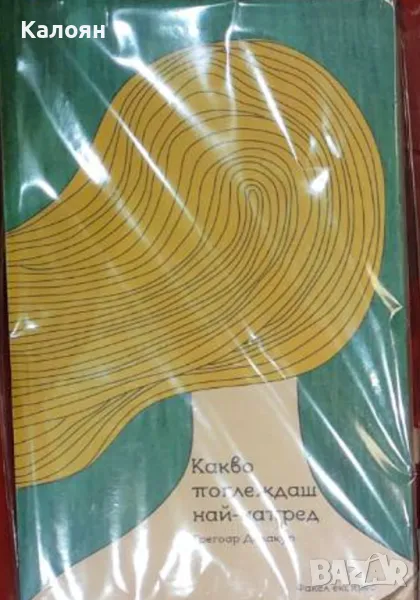 Грегоар Делакур - Какво поглеждаш най-напред (2013), снимка 1