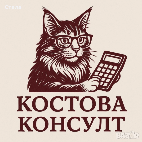 Счетоводни услуги и данъчни консултации Стара Загора , снимка 1