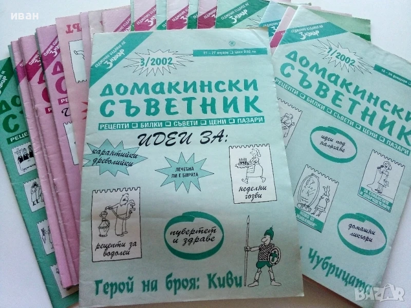 Списания "Домакински съветник" 24бр.2000/2001/2002г., снимка 1