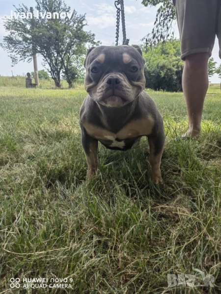 ABKC, снимка 1