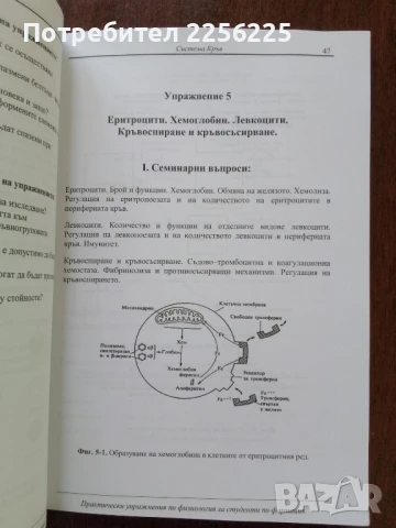 Практически упражнения по физиология, снимка 3 - Специализирана литература - 51047339