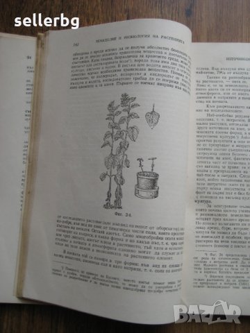 Земеделие и физиология на растенията - сборник от лекции от 1949 г., снимка 5 - Специализирана литература - 29569270