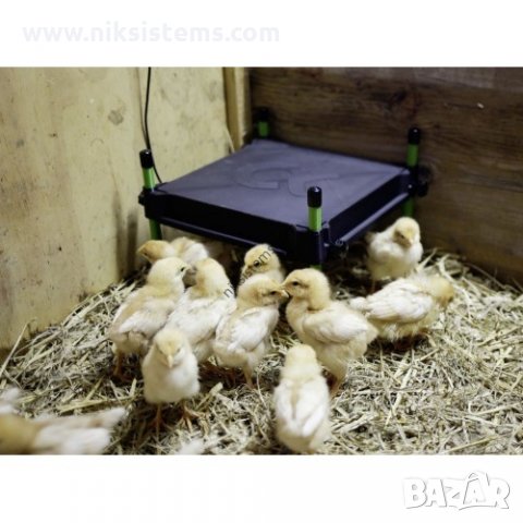 Нагревателна затопляща плоча за Пилета - CosyHeat , снимка 4 - Други стоки за животни - 35094976