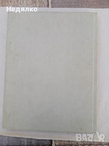 Музеите на Алжир,1974 г, албум , снимка 18 - Антикварни и старинни предмети - 39988466