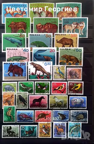 Животни 154 бр.марки. К.1, снимка 2 - Филателия - 48878418