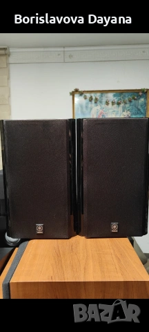 Тонколони Yamaha NX-E800, снимка 6 - Тонколони - 54304769