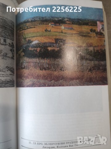Животът на Ван Гог , снимка 2 - Художествена литература - 40809627