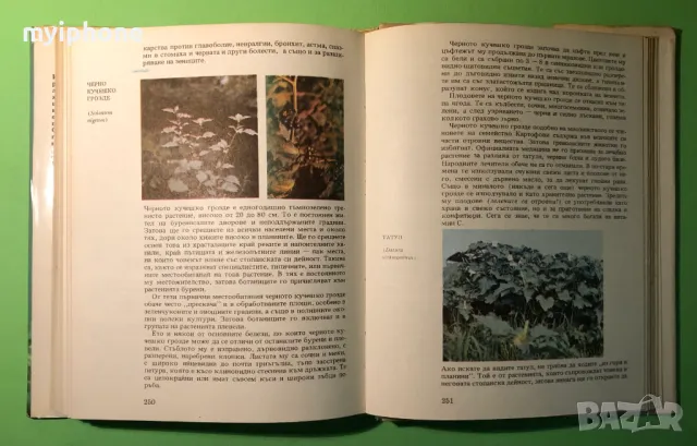 Стара Книга Атлас по Ботаника/Сл.Петров,Е.Паламарев, снимка 12 - Специализирана литература - 49204492