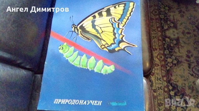 Маслена картина, снимка 1