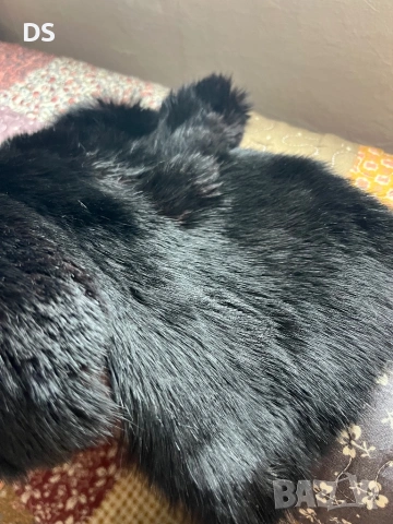 Яка от естествена кожа и косъм, снимка 7 - Други - 52943906