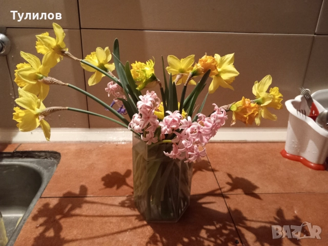 функционална вила под наем, снимка 4 - Вили - 51709533