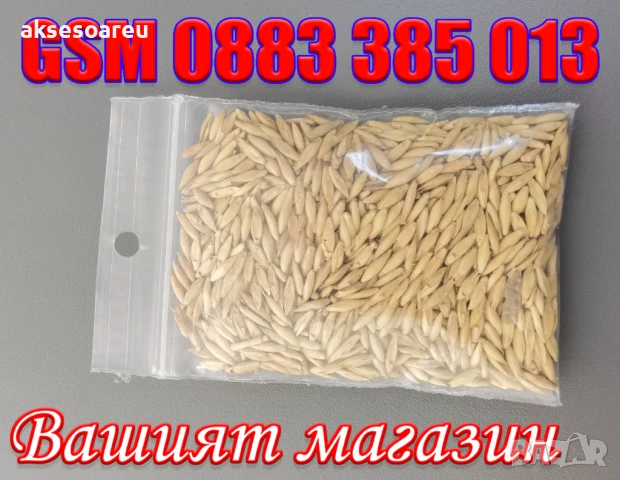 Качествени малки Семена от бамбук Bambusa arundinacea бързо растящи растения за дома бамбуков разсад, снимка 7 - Сортови семена и луковици - 50482087