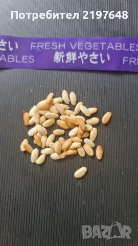 Семена от японска краставица, снимка 1